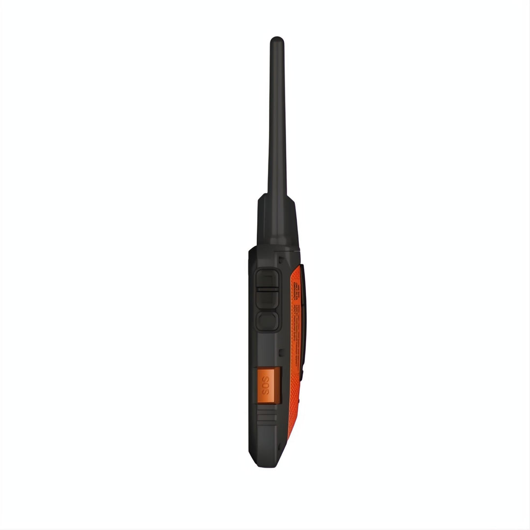 Garmin Alpha 300i