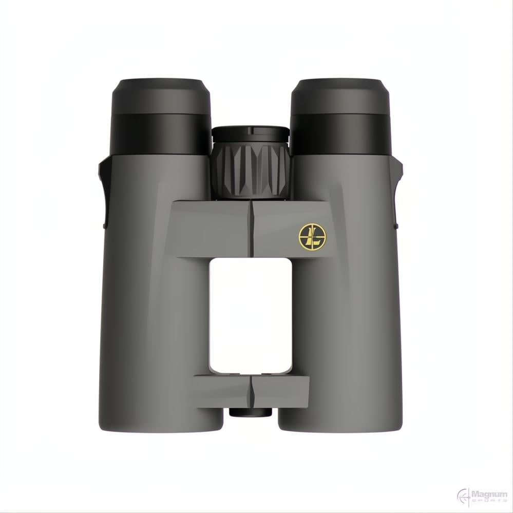 Leupold BX-4 Pro Guide HD 10x42 Gen 2