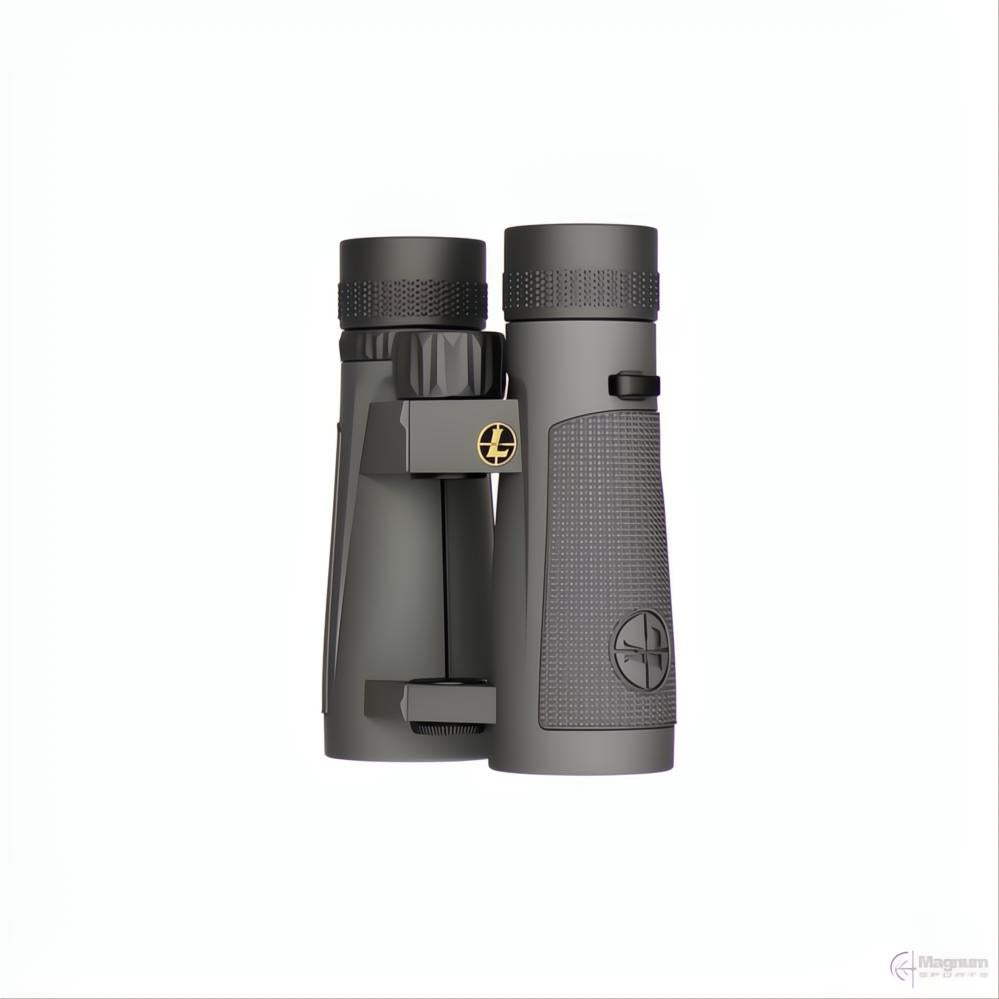 Leupold BX-5 Santiam HD 10x42