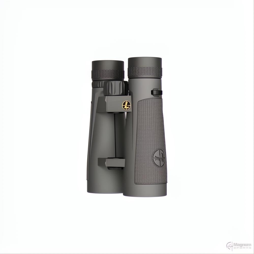 Leupold BX-5 Santiam HD 10x50