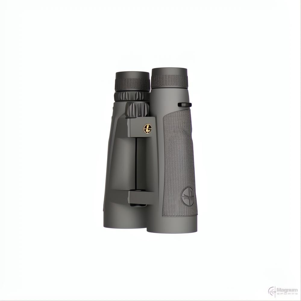 Leupold BX-5 Santiam HD 12x50