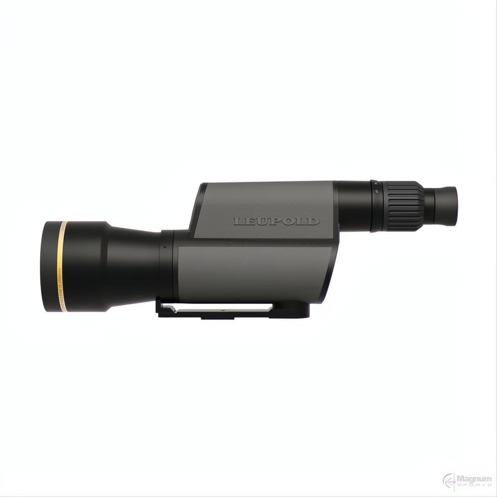 Leupold Golden Ring 20-60x80 Grey