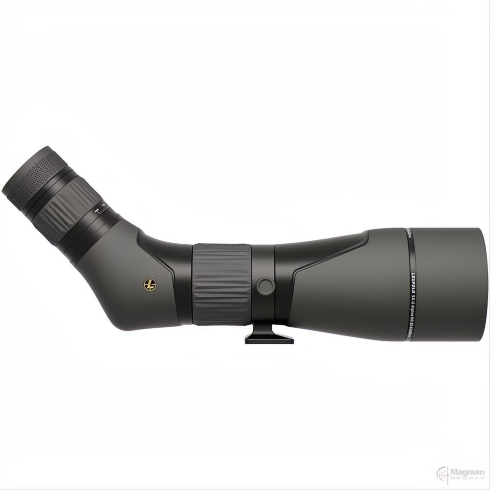Leupold SX-2 Alpine HD 20-60x80