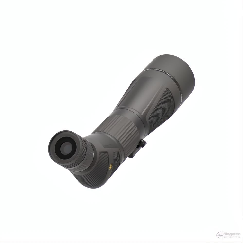 Leupold SX-4 Pro Guide HD 20-60x85