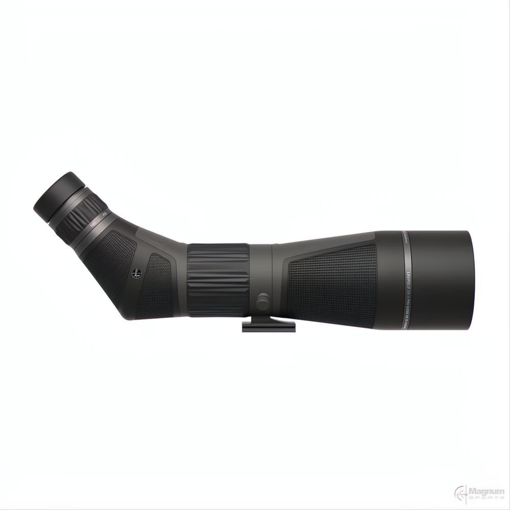 Leupold SX-4 Pro Guide HD Gen2 20-60x85 Angled