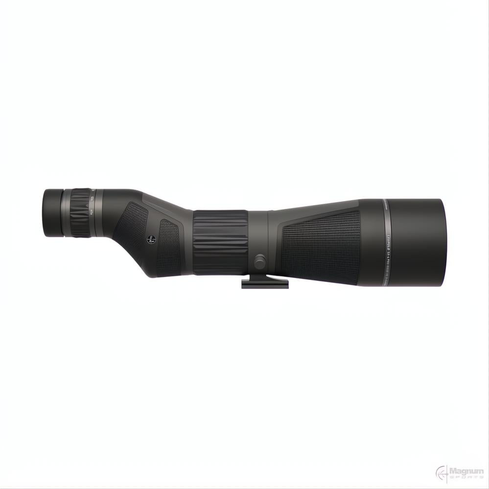 Leupold SX-4 Pro Guide HD Gen2 20-60x85 Straight