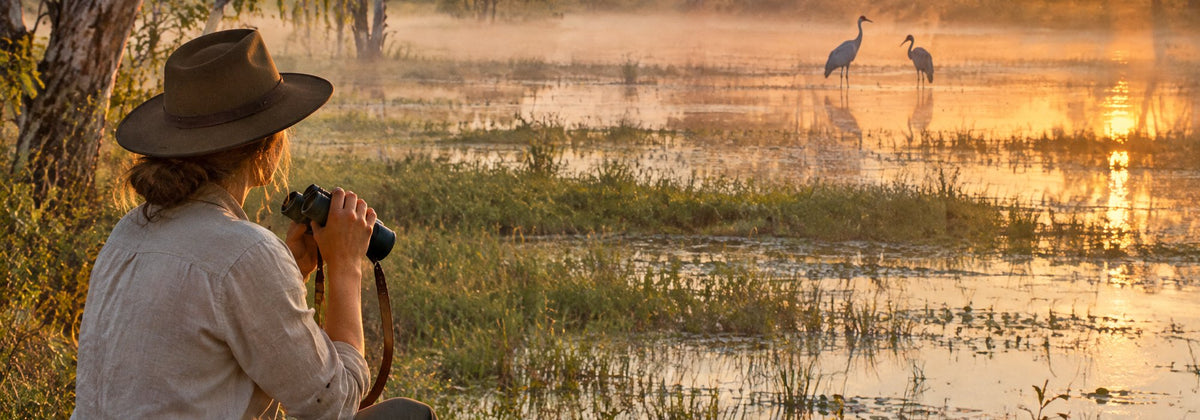 A watcher in a felt hat with binoculars as brolgas wade a misty northern floodplain at first light